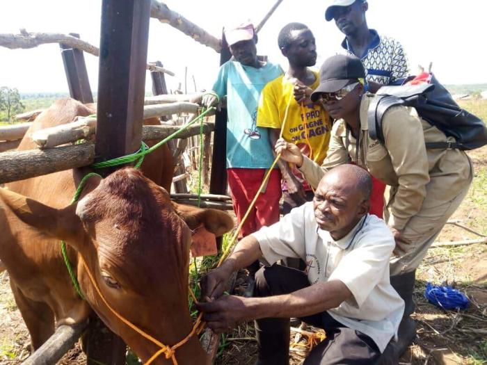 kamisamba farm