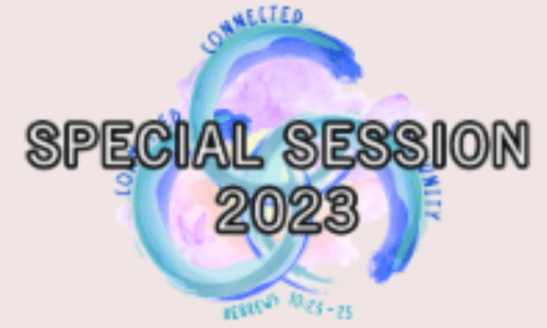 Special session